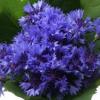 kamka's Photo
